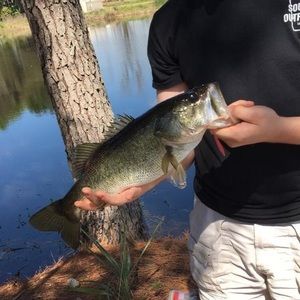 Meet your Posher, Trayton